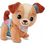 Vtech Milo scodinzolo e cammino 9-36 m