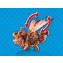 Gambedipesce e Muscolone Playmobil Dragons 