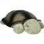 Proiettore Cloud B Twilight Turtle Classic
