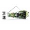 Passeggino Leggero Chipolino Ergo Dragon Green