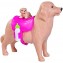 Bambola Simba Evi Love Dog Sitter
