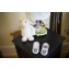 Baby Monitor Motorola MBP16 con Luce Notturna OUTLET USATO
