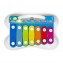 Gioco Chicco Xilofono Arcobaleno