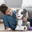 Cagnolino Hasbro Fur Real Ricky l'Husky