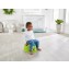 Vasino del Dinosauro Fisher Price Dino Potty
