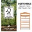 Seggiolone in Legno Hauck Alpha+ Natural