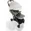 Passeggino Joie Tourist Oyster